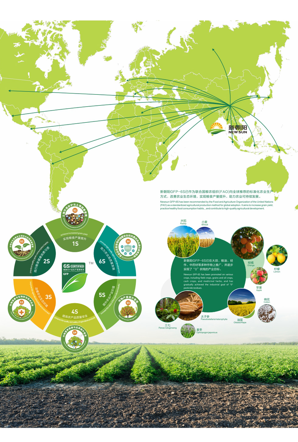 “0”農(nóng)殘健康植保服務(wù)