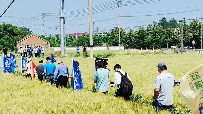 520健康植保日——擁抱綠色農(nóng)業(yè)，我們在行動