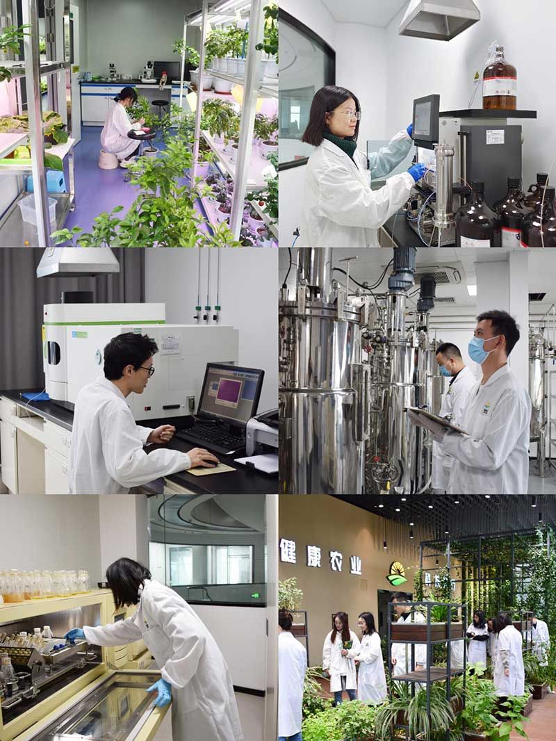 “全國(guó)科技工作者日”：推動(dòng)農(nóng)業(yè)綠色高質(zhì)量發(fā)展，新朝陽(yáng)科研人在路上