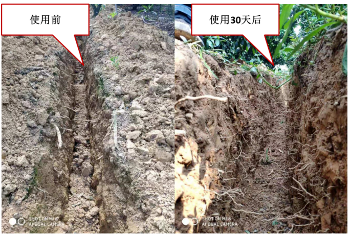 “土壤板結克星”：土壤調理劑你了解多少？