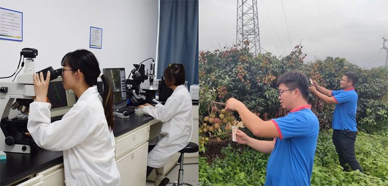 打造新朝陽生物科技“五張名片”，服務(wù)農(nóng)業(yè)高質(zhì)量發(fā)展！