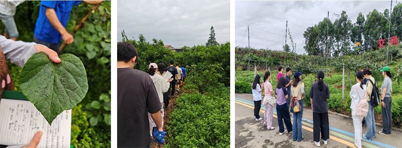 首個！中國農(nóng)業(yè)大學(xué)攜手新朝陽啟動“朝陽稼穡計劃”